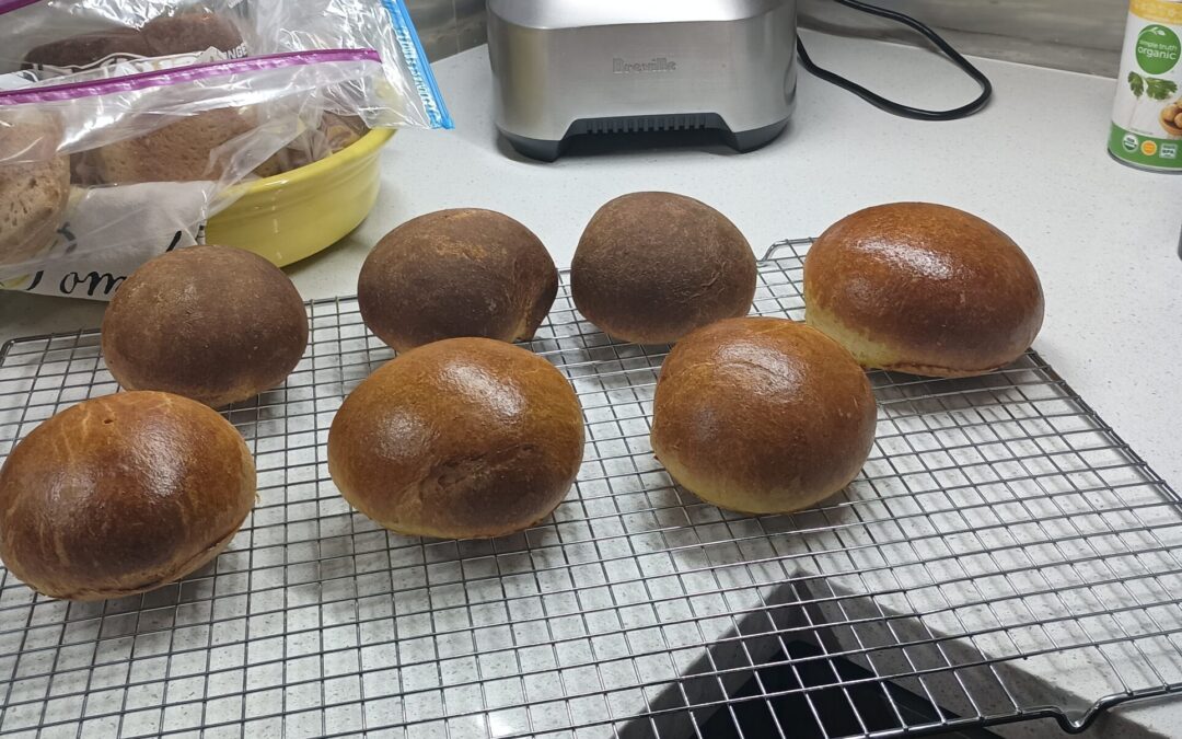 Sourdough Brioche Buns