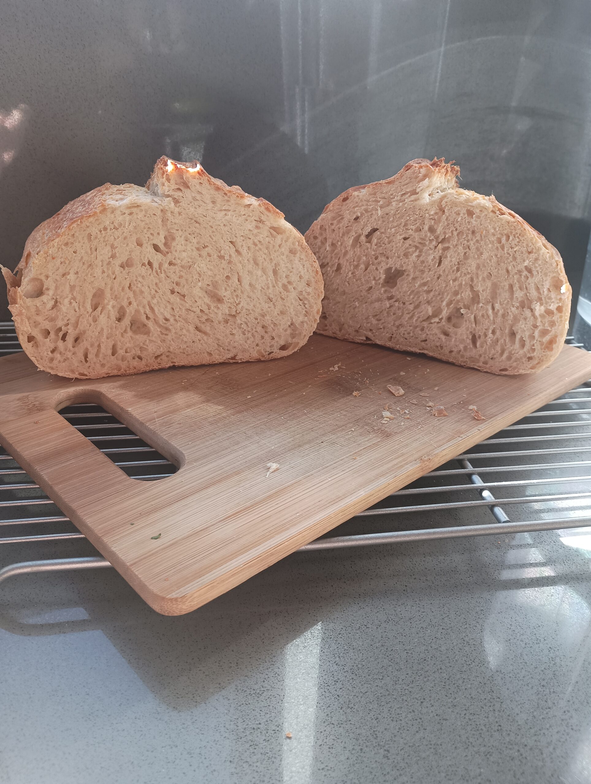 Sourdough Batard High Altitude